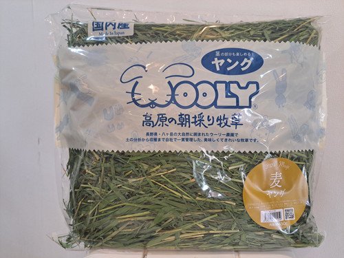 4袋×ウーリー WOOLY 高原の朝採り牧草 眩しく ワイルドイタリアン×4袋