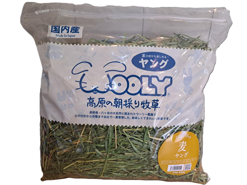 高原の朝採り牧草 麦 ヤング450g 2024 - うさぎ専門店 Rabbit Wish 高原の朝採り牧草 麦 ヤング450g 2024 - うさぎ専門店 Rabbit Wish