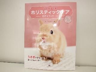 うさぎと暮らす ホリスティックケア-指圧＆マッサージ- - うさぎ専門店