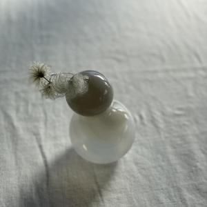 sprout <img class='new_mark_img2' src='https://img.shop-pro.jp/img/new/icons13.gif' style='border:none;display:inline;margin:0px;padding:0px;width:auto;' />