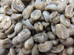 インドネシア マンデリン アチェガヨG１ - コーヒー豆の通販なら自家焙