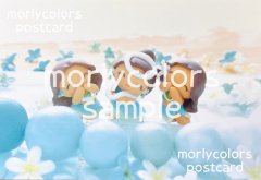 Morlycolors ポストカード　4