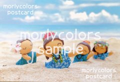 Morlycolors ポストカード　８