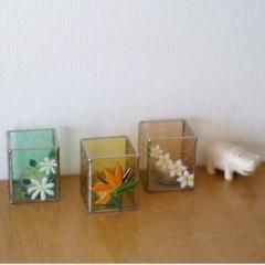 glass hoppers ɥۥ
