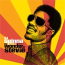 DJ Spinna / The Wonder Of Stevie Vol.3 (1MIX-CD+1CD)