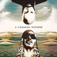 COMMON vs STEVIE WONDER : same (2LP) - マザー・ムーン