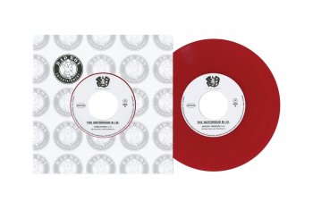 THE NOTORIOUS B.I.G. : READY TO DIE: 25TH ANNIVERSARY (BOX) (9x 7inch Box  Set) - マザー・ムーン・ミュージック / mother moon music | 新品 中古 Record CD