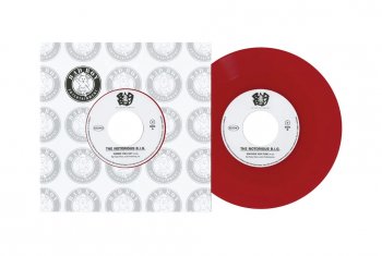 THE NOTORIOUS B.I.G. : READY TO DIE: 25TH ANNIVERSARY (BOX) (9x 7inch Box  Set) - マザー・ムーン・ミュージック / mother moon music | 新品 中古 Record CD