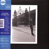 IRREVERSIBLE ENTANGLEMENTS : Open The Gates (LP/with Obi/color vinyl)