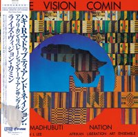 HAKI R. MADHUBUTI AND NATION: AFRIKAN LIBERATION ARTS ENSEMBLE / Rise Vision Comin (LP)
