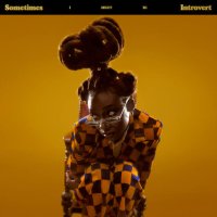 LITTLE SIMZ : SOMETIMES I MIGHT BE (2LP)