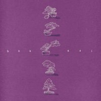 Boogie Mason : Bonsai (LP)