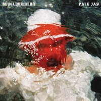 PALE JAY : BEWILDERMENT (LP/color vinyl)