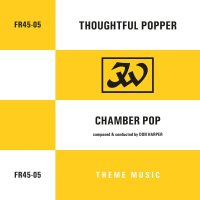 DON HARPER : THOUGHTFUL POPPER / CHAMBER POP (7)