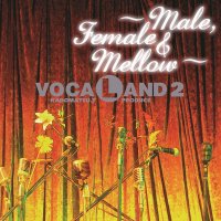 VOCALAND : VOCALAND 2 Male,Female & Mellow (prod. Ѿ) (2LP)