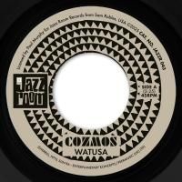 COZMOS : Watusa / Meditations On Integration (7)