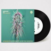 Medline feat. Roni Alkekengi : Expansions (45 Edit) / Everybody Loves The Sunshine (7)