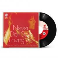 ̤ͣmie with T-GROOVE & GEORGE KANO EXPERIENCE : Never Did I Stop Loving You (7)