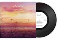 DJ Mitsu the Beats / ŵ & haruka nakamura ; Quiet Moments / I Miss You (Mellow Beats Mix)()