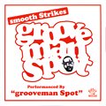 grooveman Spot / Smooth Strikes (MIX-CD/楸㥱)
