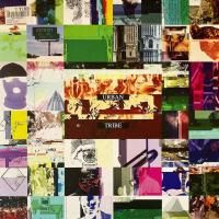 THE CIRCLING SUN : MIZU / FLORA AND FOUNA :Japan Limited 7' (7)