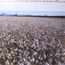 Marion Brown / November Cotton Flower (LP/USED/NM)
