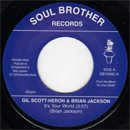 Gil Scott-Heron Brian Jackson / It's Your World - Winter In America (7