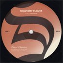 Theo Parrish / Solitary Flight - Dellwood II (12