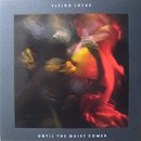 Flying Lotus / Until The Quiet Comes - Collectors Edition (2LP)