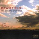 DJ Kenta / Dawn Field - The Beautiful Experience (MIX-CD/楸㥱åȻ)