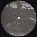 Theo Parrish / Dance Of The Medusa (EP)