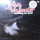 John Valenti / Anything You Want (LP/JPN-reissue)
