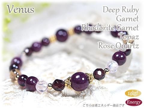 ӡȥɥ饤ȥͥåȡѥȥѡetcΥǥ֥쥹å Venus ᥤΡ