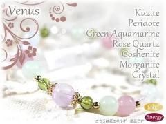 ĥȤȥ꡼󥢥ޥ󡢥ǥץetcΥǥ֥쥹å<br />Venus