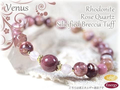 ǽ١ɥʥȤȥꥷեɡ֥åդΥǥ֥쥹å Venus ᥤΡ