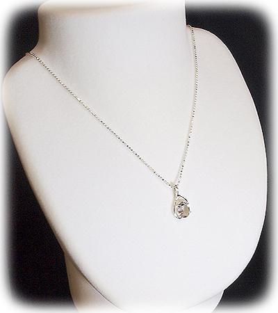 ϡޡ ֥ꥢ󥫥å ڥȥȥåPT/M ֲ 2