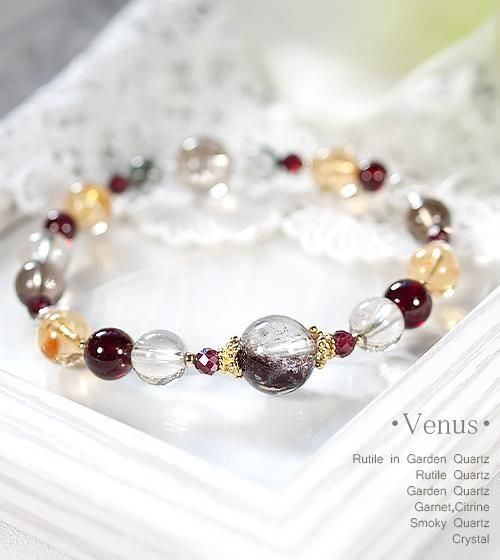 ڰʪۥꥬǥ󥯥Ĥȥ륯ġͥåȤΥǥ֥쥹å
-Venus  ֲ 10