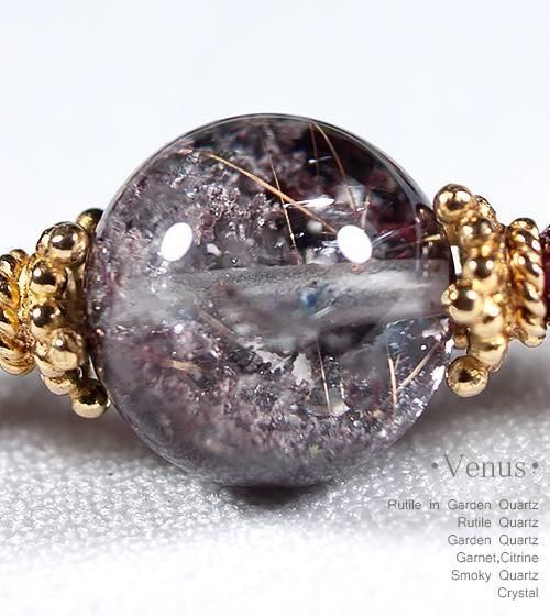 ڰʪۥꥬǥ󥯥Ĥȥ륯ġͥåȤΥǥ֥쥹å
-Venus  ֲ 3