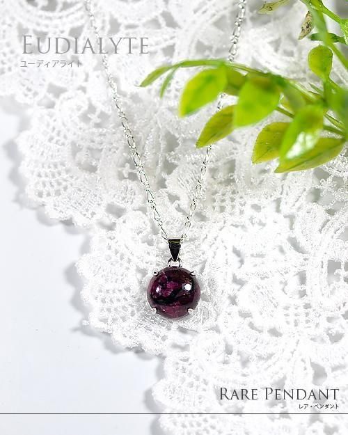 桼ǥ饤ȡڥNo.1  ֲ 4