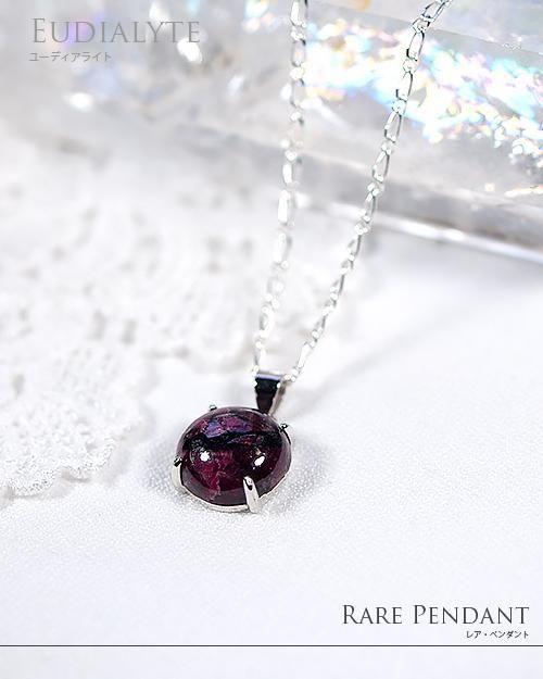 桼ǥ饤ȡڥNo.1  ֲ 5