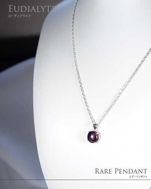 桼ǥ饤ȡڥNo.2  ֲ 5