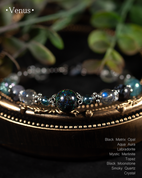 �֥�å��ޥȥ�å������ѡ���ߥߥ��ƥ��å�����ʥ��ȡå������å����á�����ߥå����ǥ�����֥쥹��å�No.1��Venus  ���ֲ��� 6