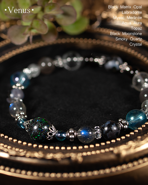 �֥�å��ޥȥ�å������ѡ���ߥߥ��ƥ��å�����ʥ��ȡå������å����á�����ߥå����ǥ�����֥쥹��å�No.1��Venus  ���ֲ��� 7