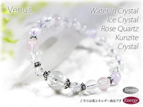 徽ȥġĥȤΥǥ֥쥹å Venus ᥤΡ