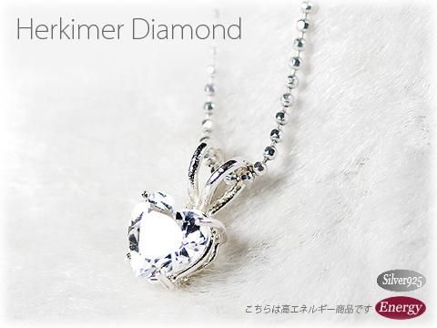 ϡޡ ϡȥ֥ꥢȥå ڥȥȥå ᥤΡ