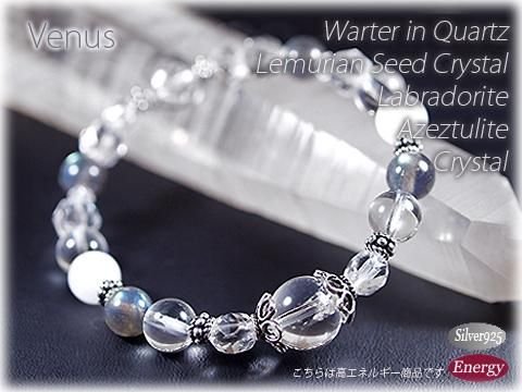 徽 ꥢ󥷡ɥꥹ ĥ饤etc ֥쥹å Venus ᥤΡ