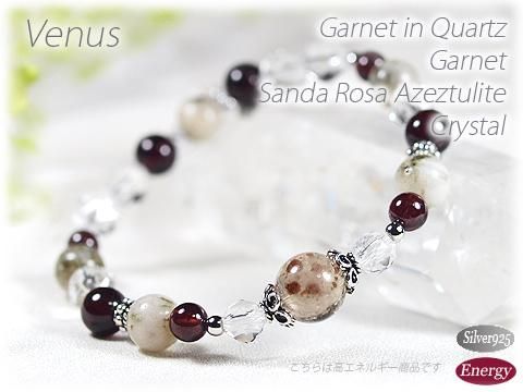 ͥåȥ󥯥Ĥȥĥ饤ȤΥǥ֥쥹å2 Venus ᥤΡ