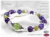 եȥƥҥȡetcΥǥ֥쥹å<br />Venus