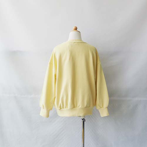 Turtle SP Sweartshirt 80-134 mini rodini ミニロディーニ - こども