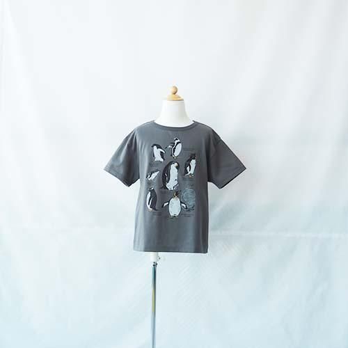 Zukan Penguin KIDS S/S TEE S-L(90-130) marble SUDマーブルシュッド 